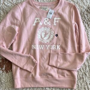 Abercrombie & Fitch Light Pink Logo Sweatshirt